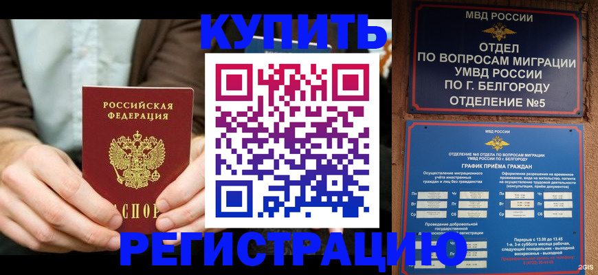 прописка 2025 в Бабаево